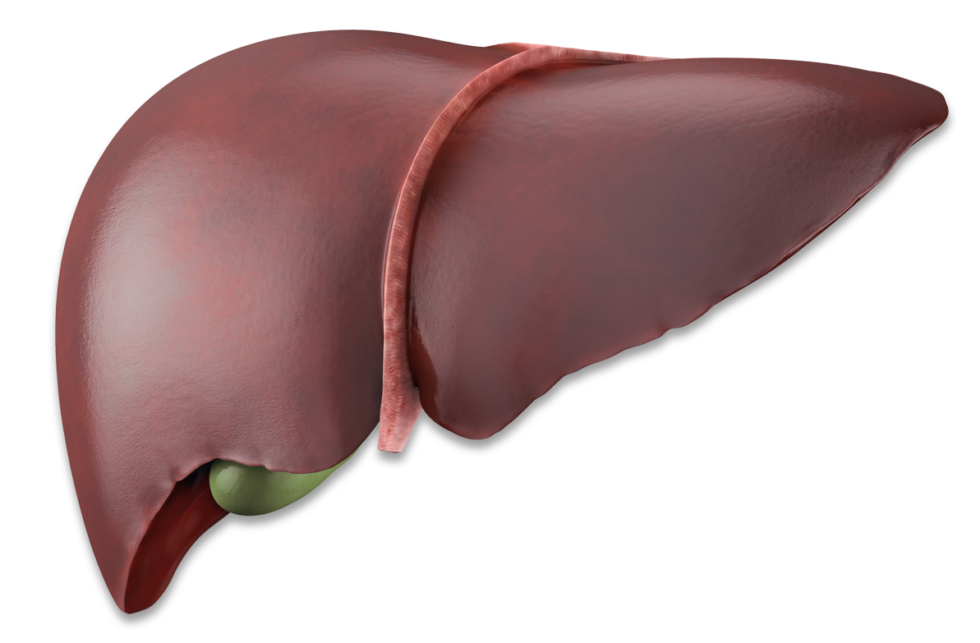 how-can-liver-problems-affect-your-oral-health